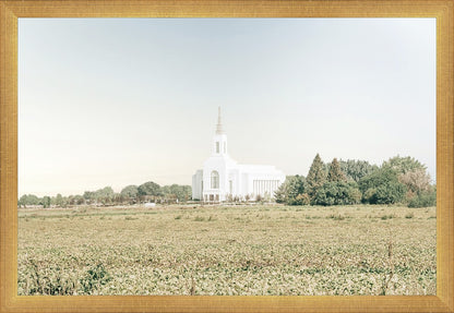 Burley Idaho Immaculate Embrace Blue