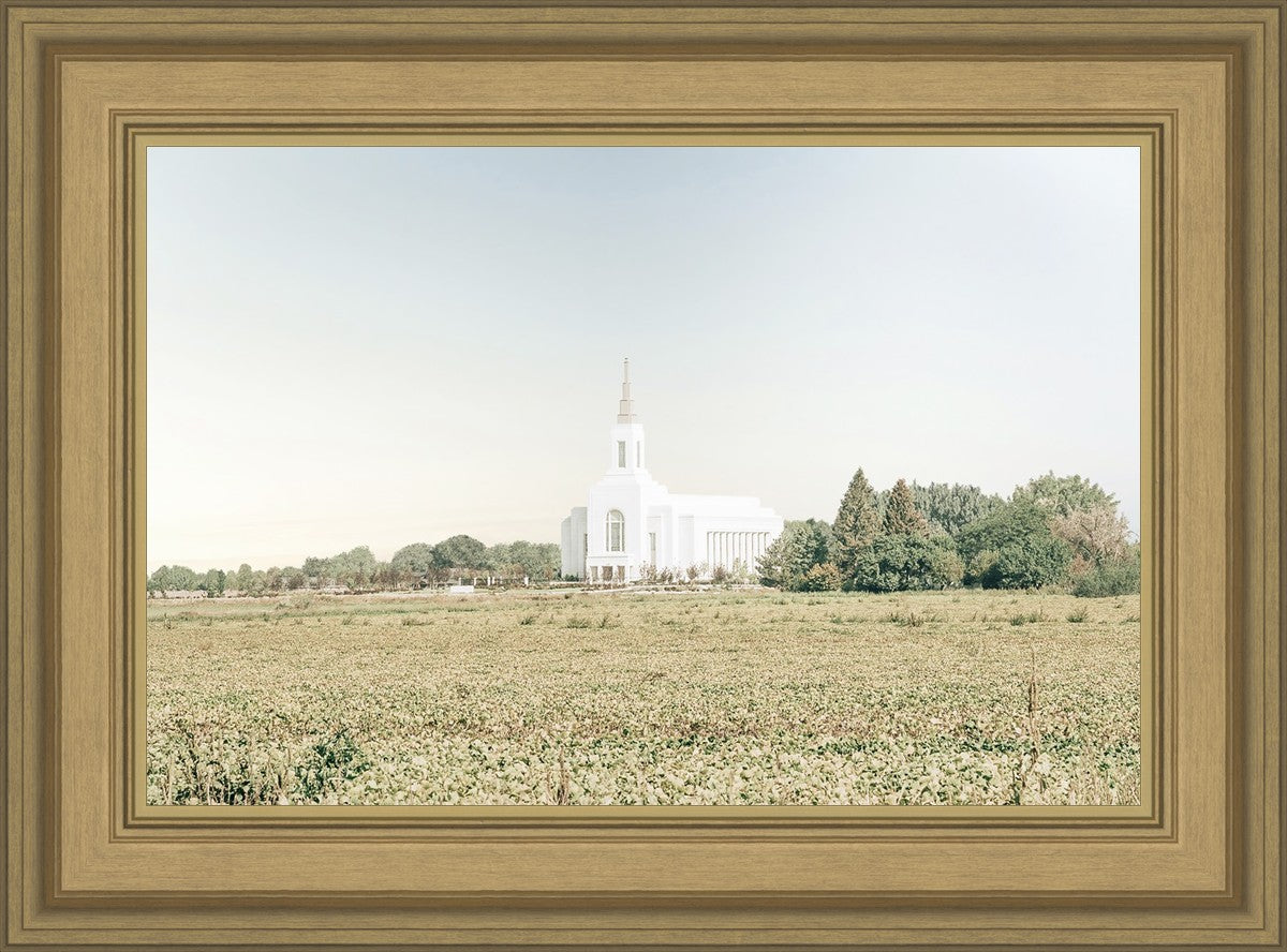 Burley Idaho Immaculate Embrace Blue