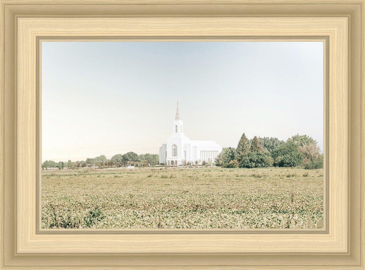 Burley Idaho Immaculate Embrace Blue