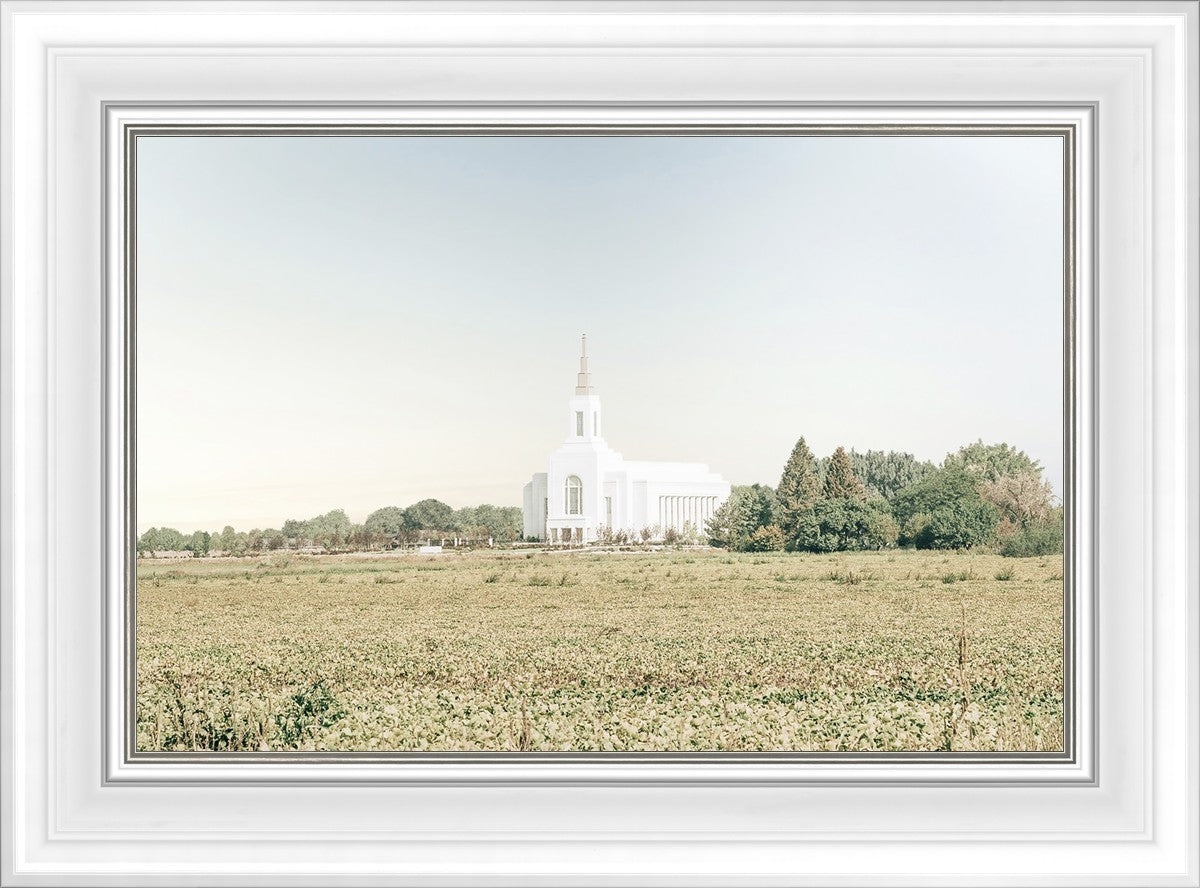 Burley Idaho Immaculate Embrace Blue