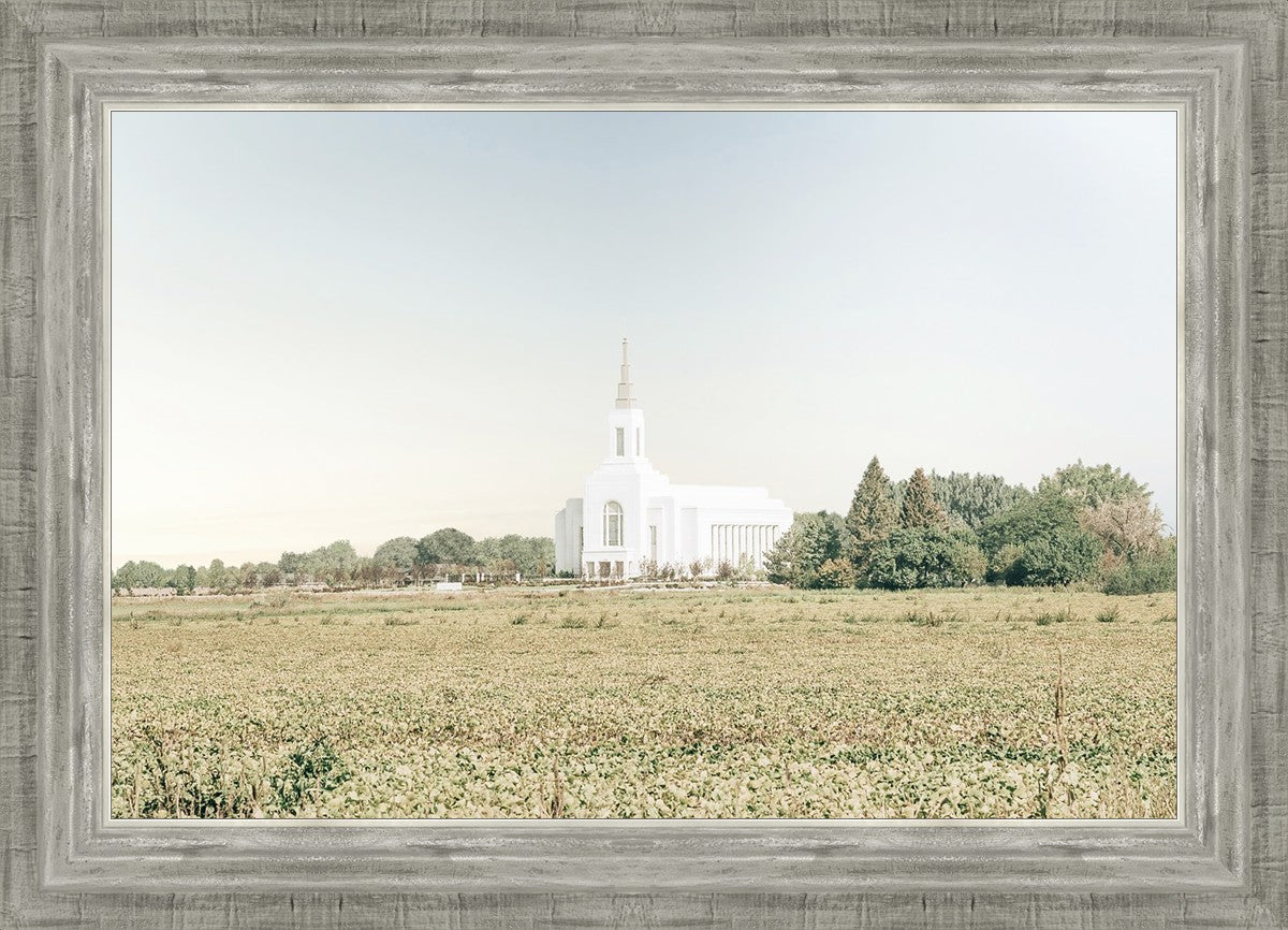 Burley Idaho Immaculate Embrace Blue