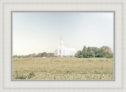 Burley Idaho Immaculate Embrace Blue