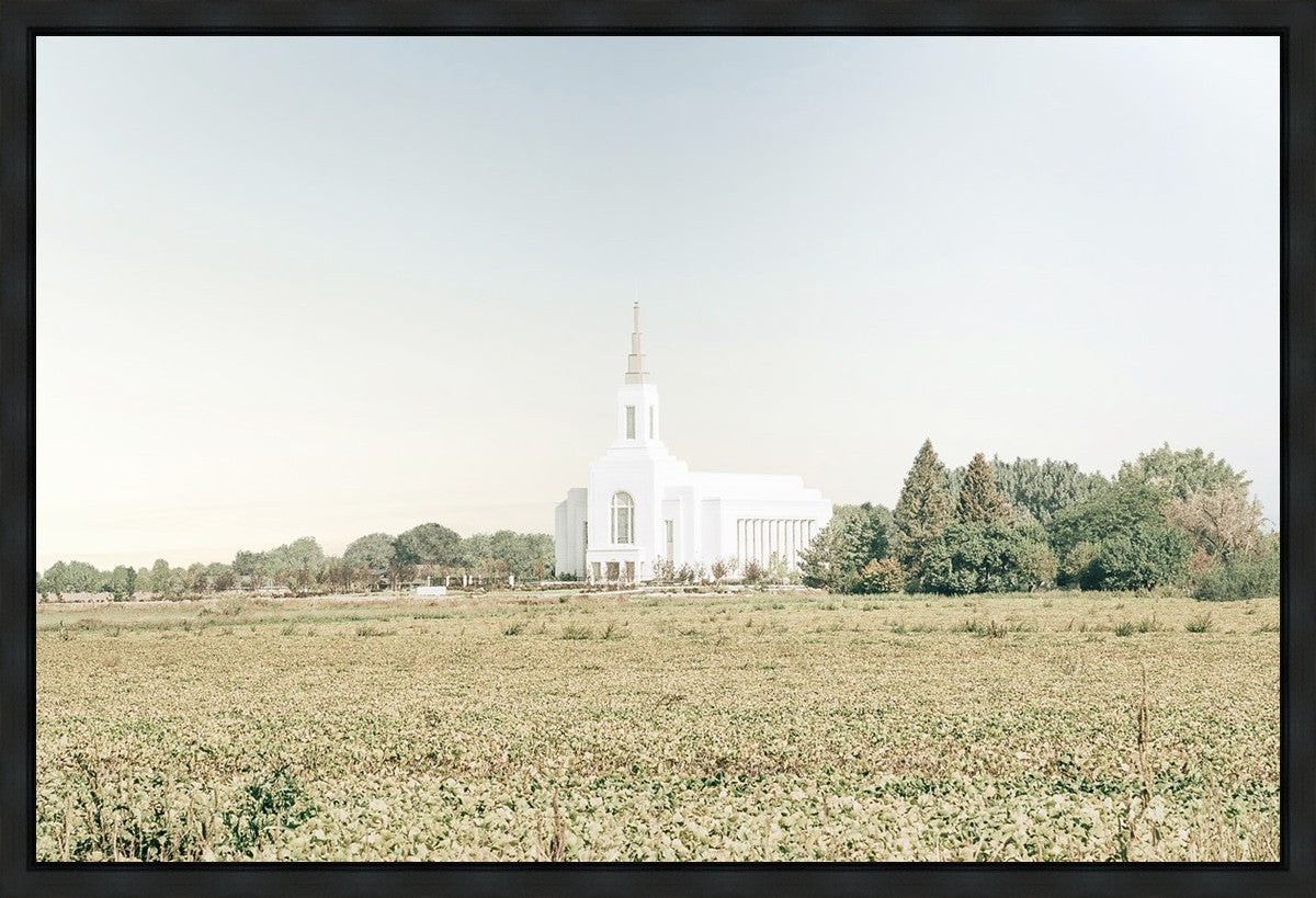 Burley Idaho Immaculate Embrace Blue