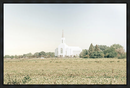 Burley Idaho Immaculate Embrace Blue