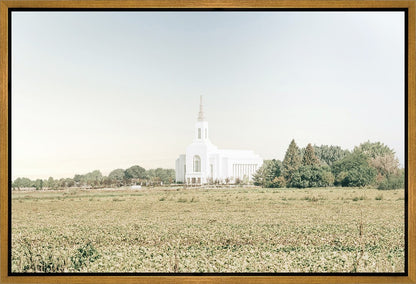 Burley Idaho Immaculate Embrace Blue