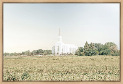 Burley Idaho Immaculate Embrace Blue