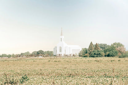 Burley Idaho Immaculate Embrace Blue