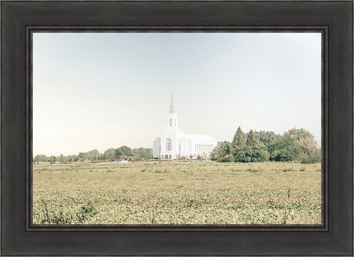 Burley Idaho Immaculate Embrace Blue