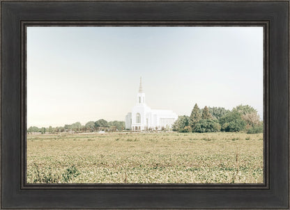 Burley Idaho Immaculate Embrace Blue