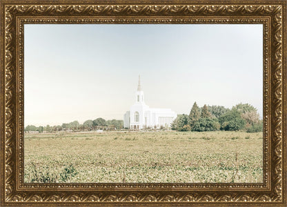 Burley Idaho Immaculate Embrace Blue