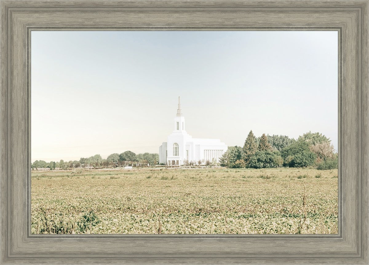 Burley Idaho Immaculate Embrace Blue