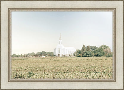 Burley Idaho Immaculate Embrace Blue