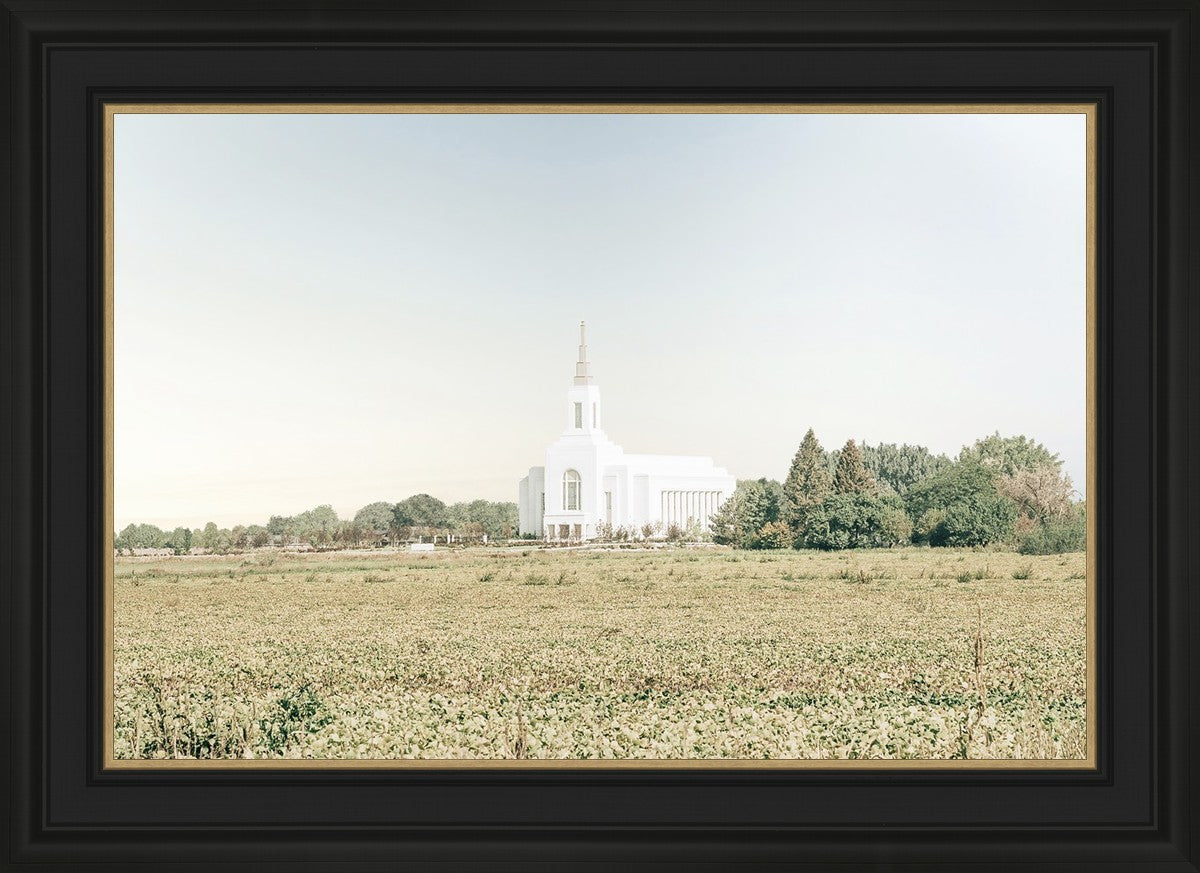 Burley Idaho Immaculate Embrace Blue