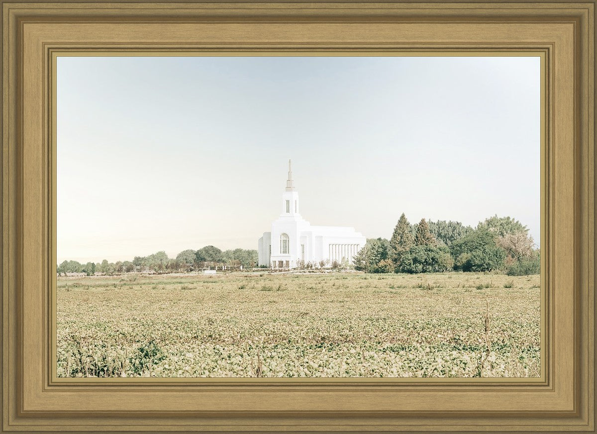 Burley Idaho Immaculate Embrace Blue