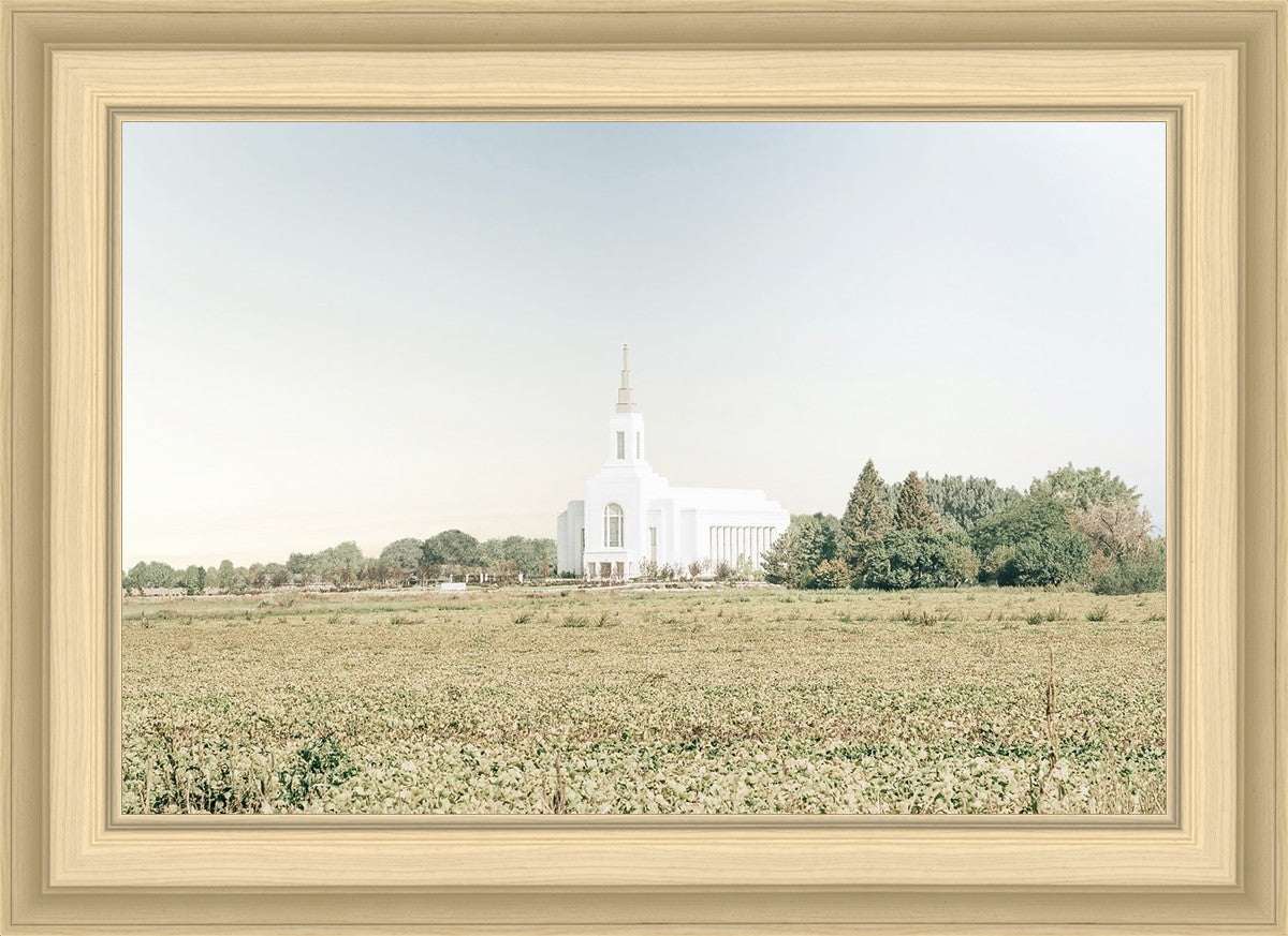 Burley Idaho Immaculate Embrace Blue