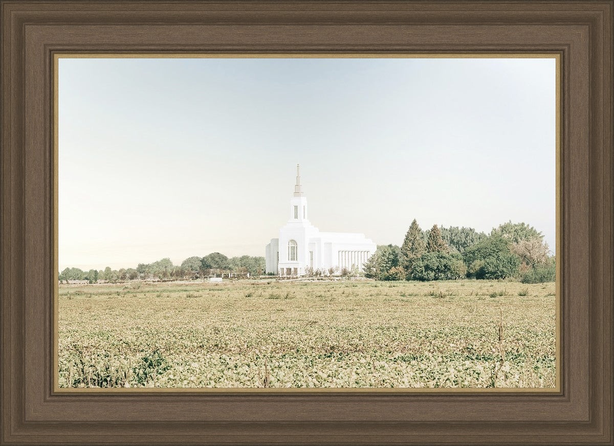 Burley Idaho Immaculate Embrace Blue