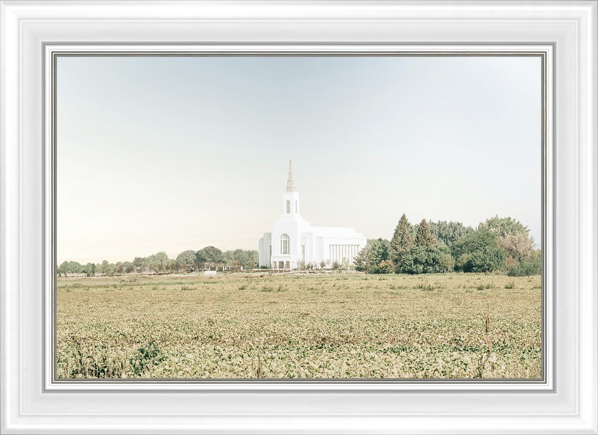 Burley Idaho Immaculate Embrace Blue