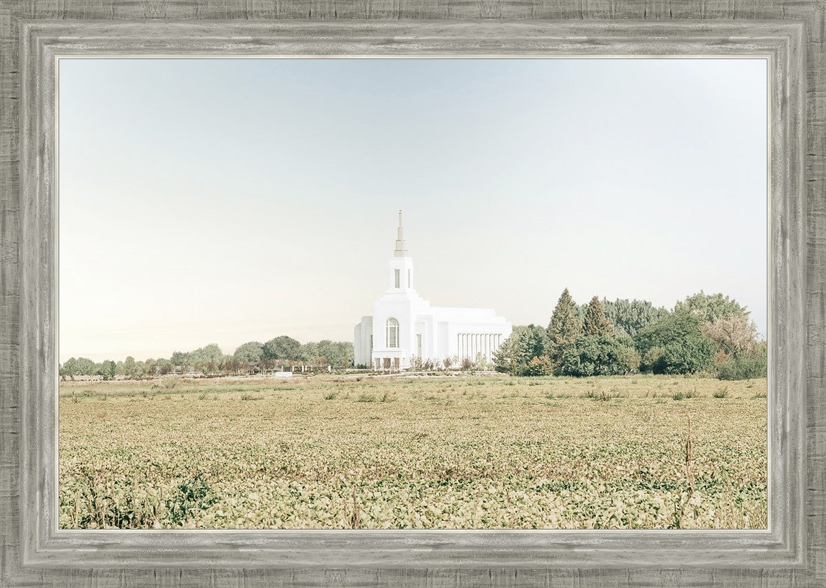 Burley Idaho Immaculate Embrace Blue