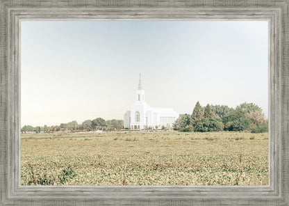 Burley Idaho Immaculate Embrace Blue