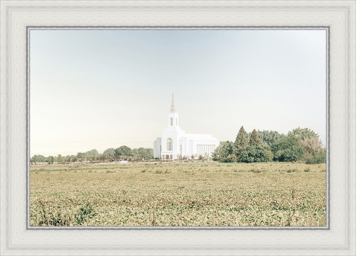 Burley Idaho Immaculate Embrace Blue