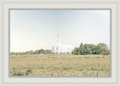 Burley Idaho Immaculate Embrace Blue