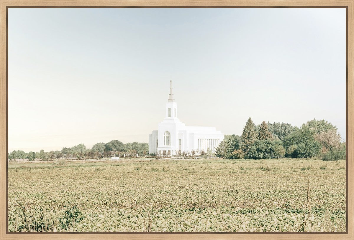 Burley Idaho Immaculate Embrace Blue