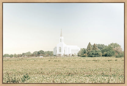 Burley Idaho Immaculate Embrace Blue