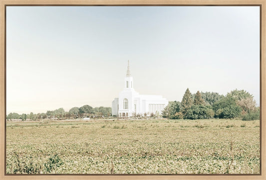 Burley Idaho Immaculate Embrace Blue
