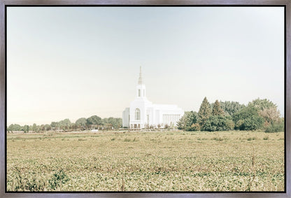 Burley Idaho Immaculate Embrace Blue