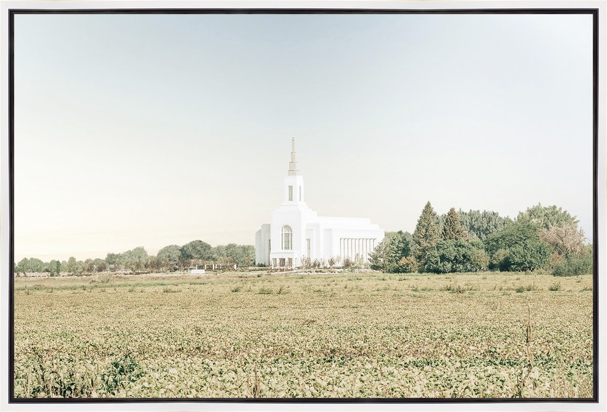 Burley Idaho Immaculate Embrace Blue