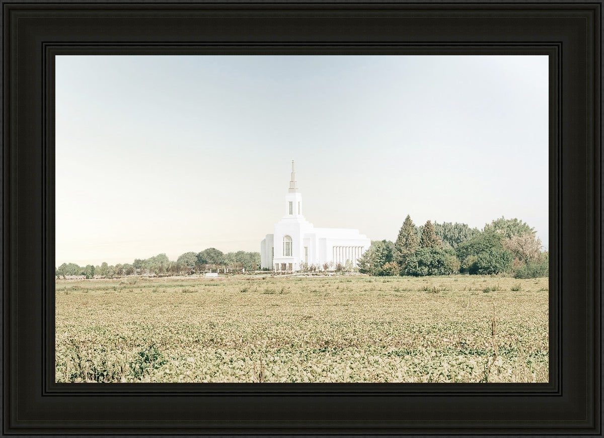 Burley Idaho Immaculate Embrace Blue