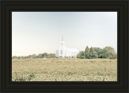 Burley Idaho Immaculate Embrace Blue