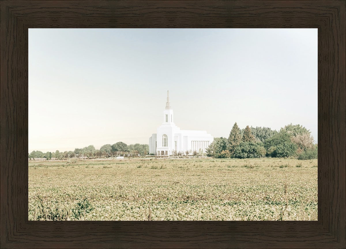 Burley Idaho Immaculate Embrace Blue