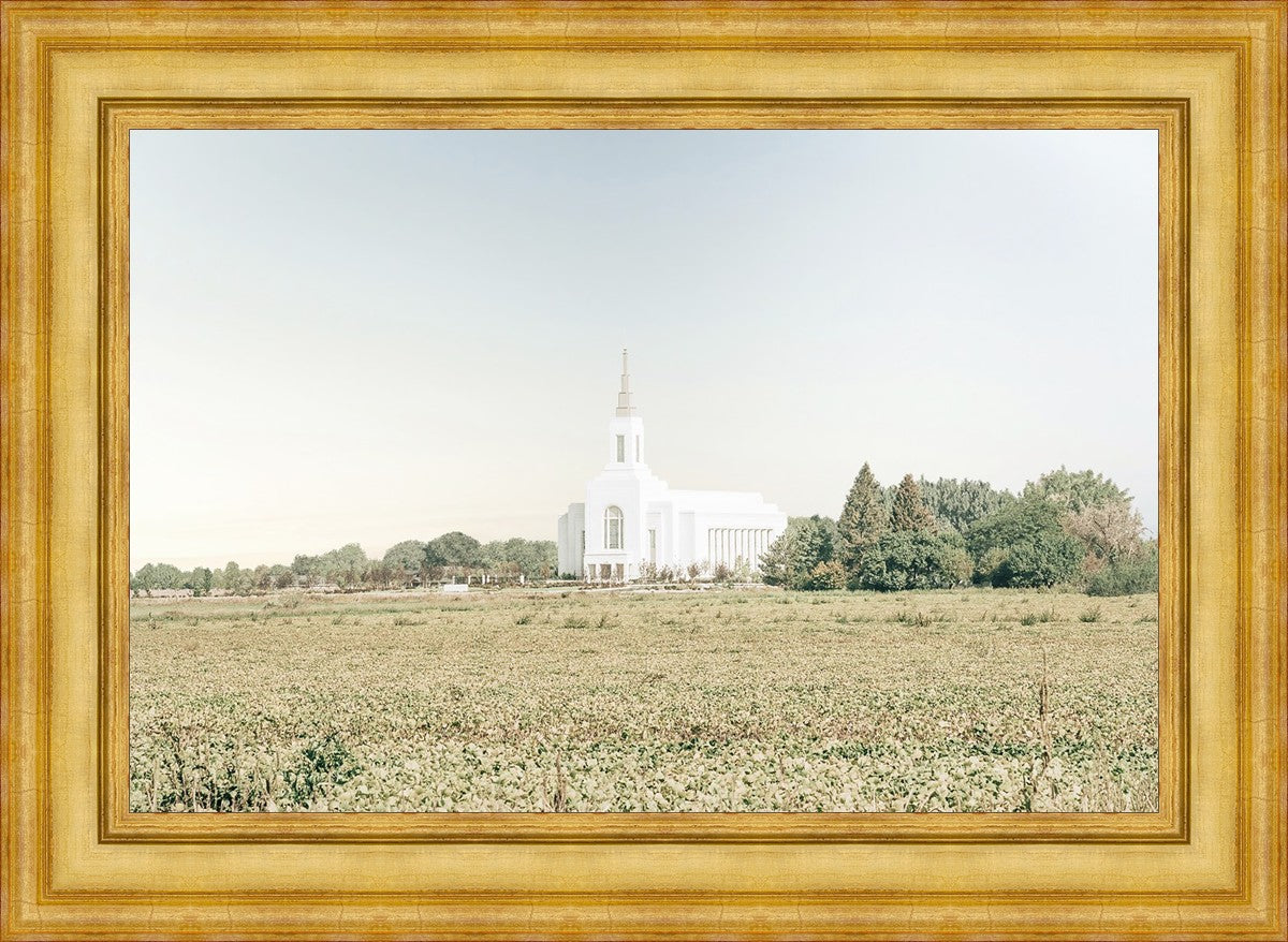 Burley Idaho Immaculate Embrace Blue