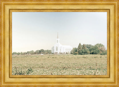 Burley Idaho Immaculate Embrace Blue