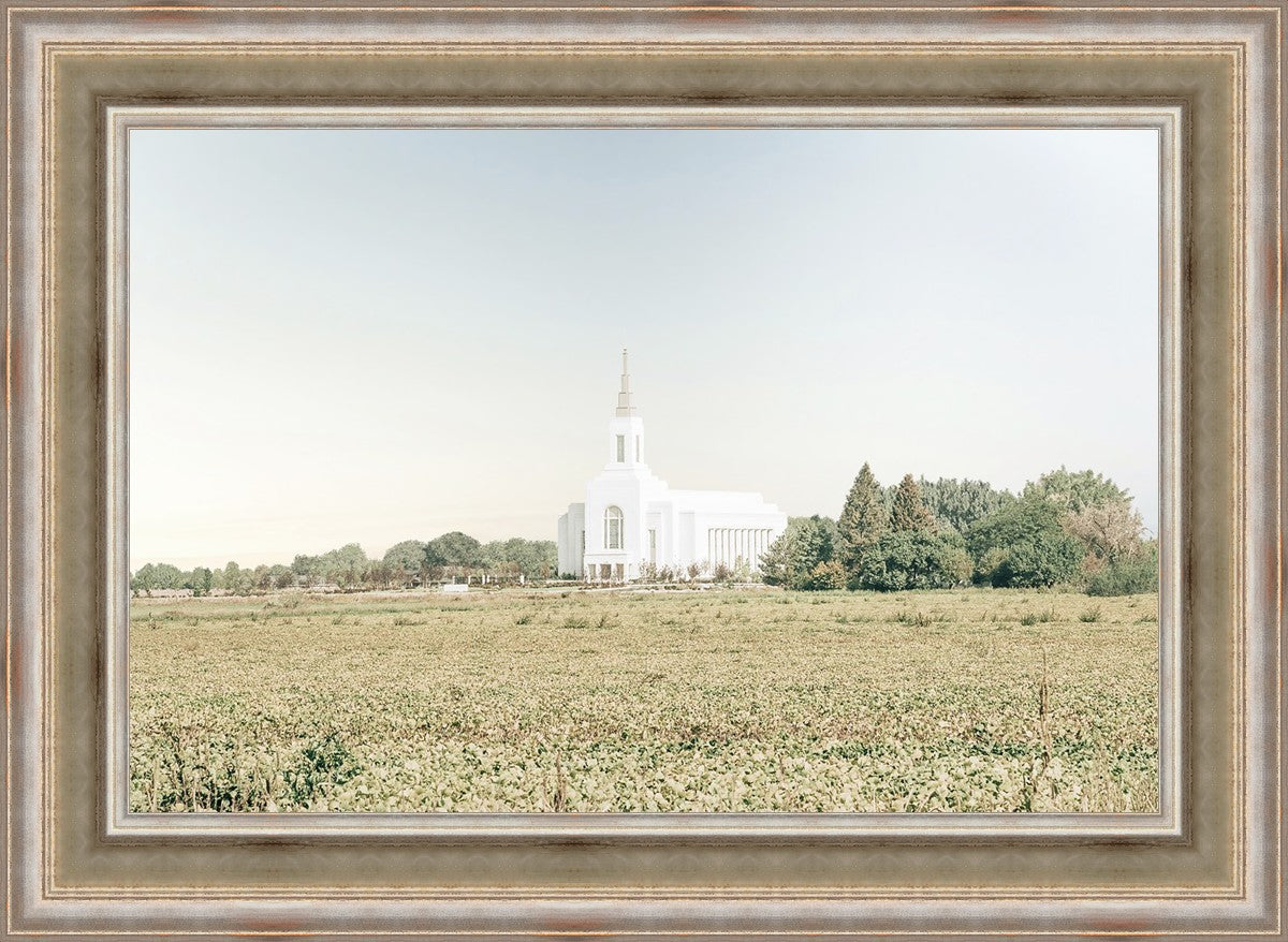 Burley Idaho Immaculate Embrace Blue