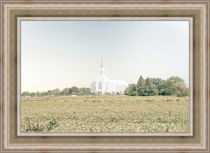 Burley Idaho Immaculate Embrace Blue