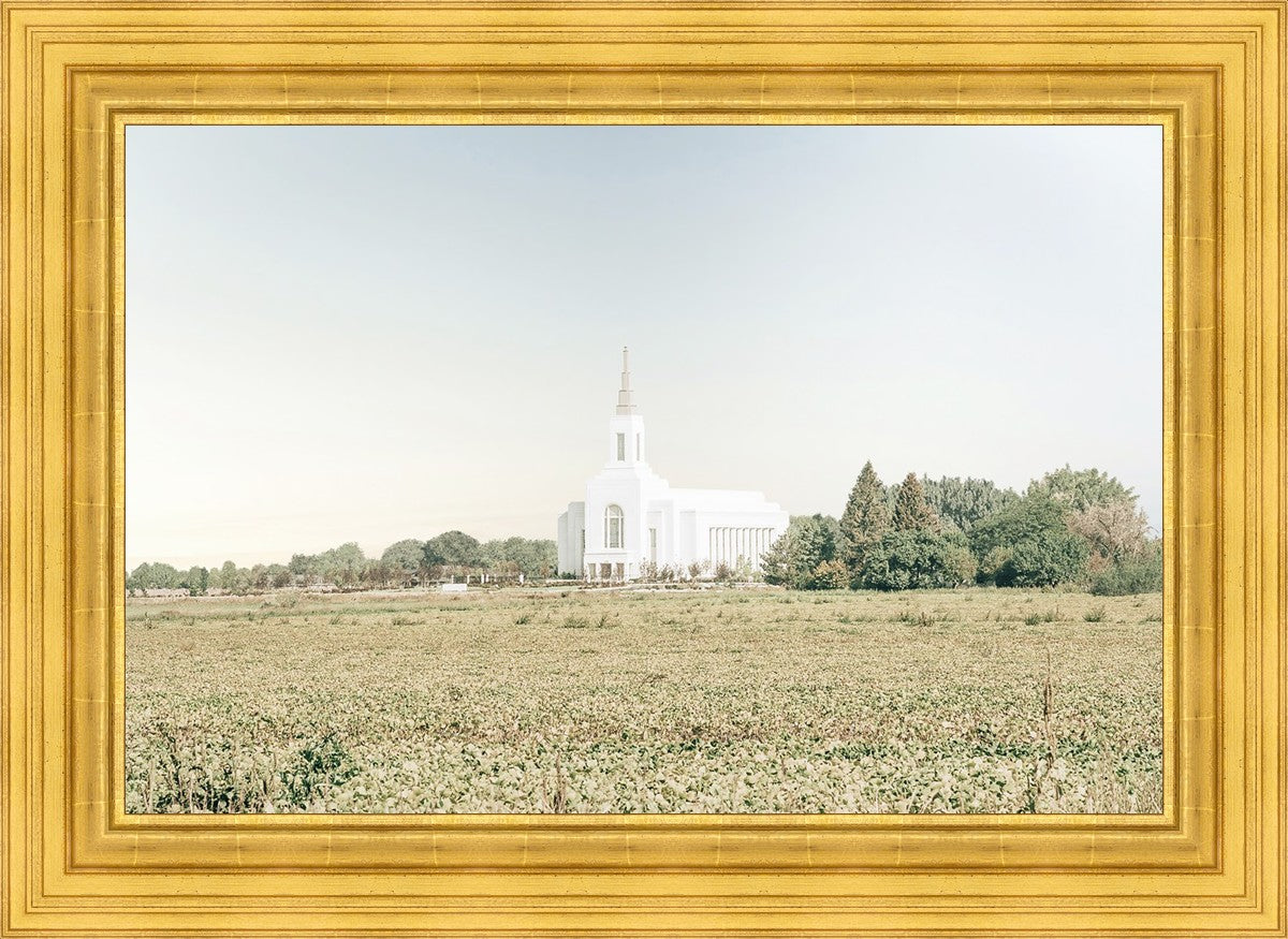 Burley Idaho Immaculate Embrace Blue