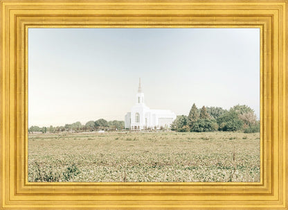 Burley Idaho Immaculate Embrace Blue