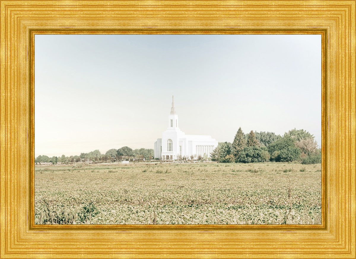 Burley Idaho Immaculate Embrace Blue