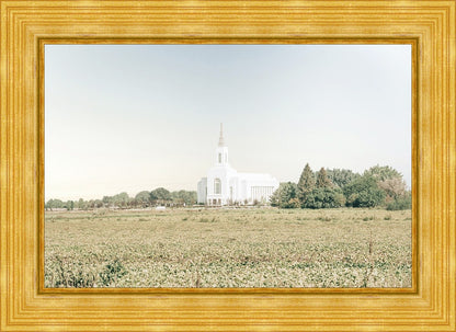 Burley Idaho Immaculate Embrace Blue