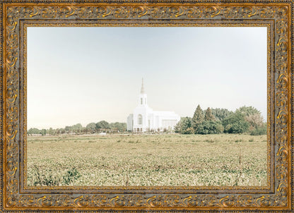 Burley Idaho Immaculate Embrace Blue