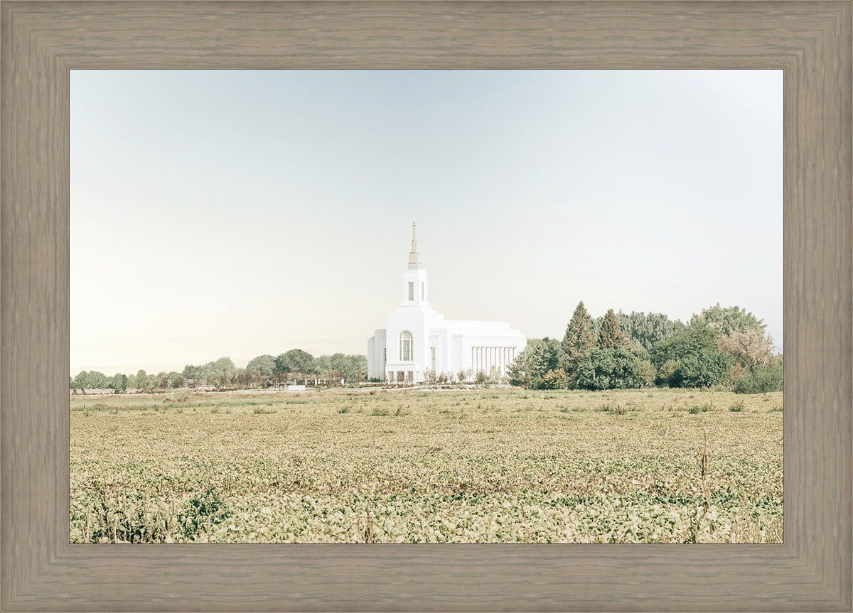 Burley Idaho Immaculate Embrace Blue