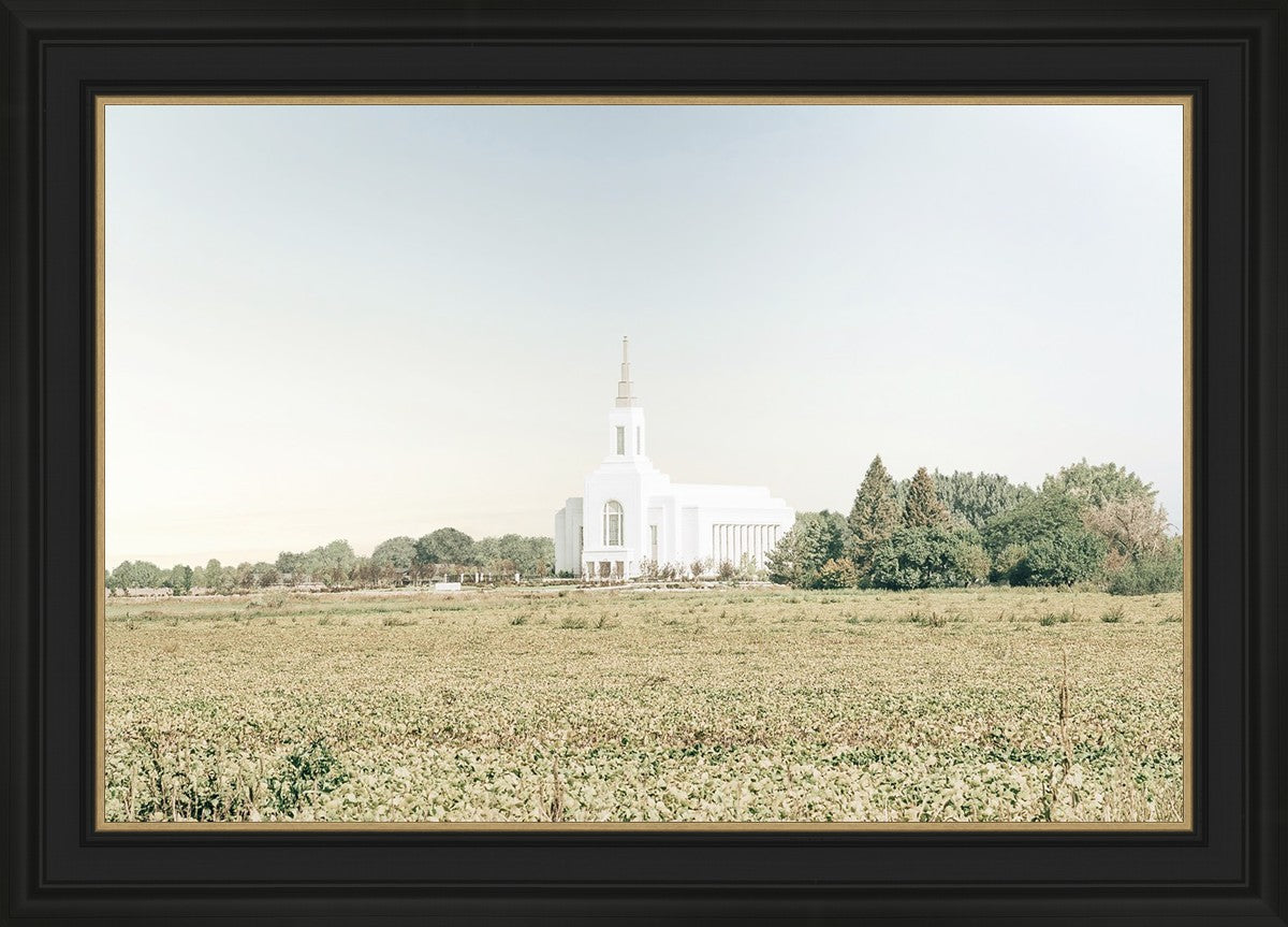 Burley Idaho Immaculate Embrace Blue