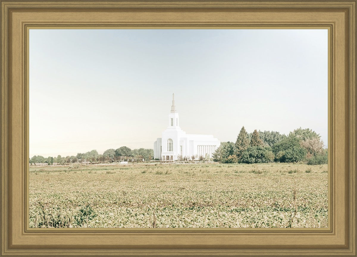 Burley Idaho Immaculate Embrace Blue
