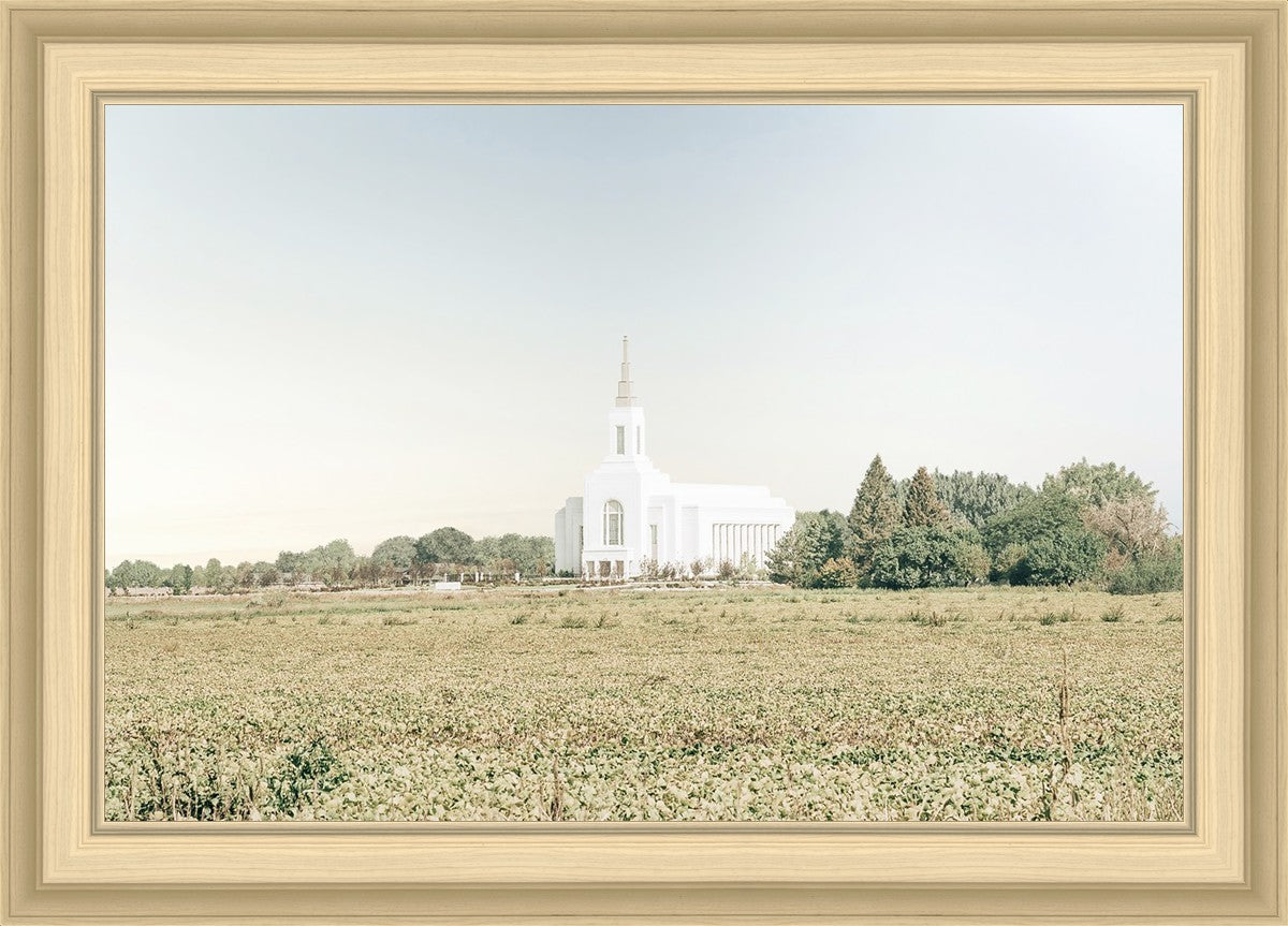 Burley Idaho Immaculate Embrace Blue