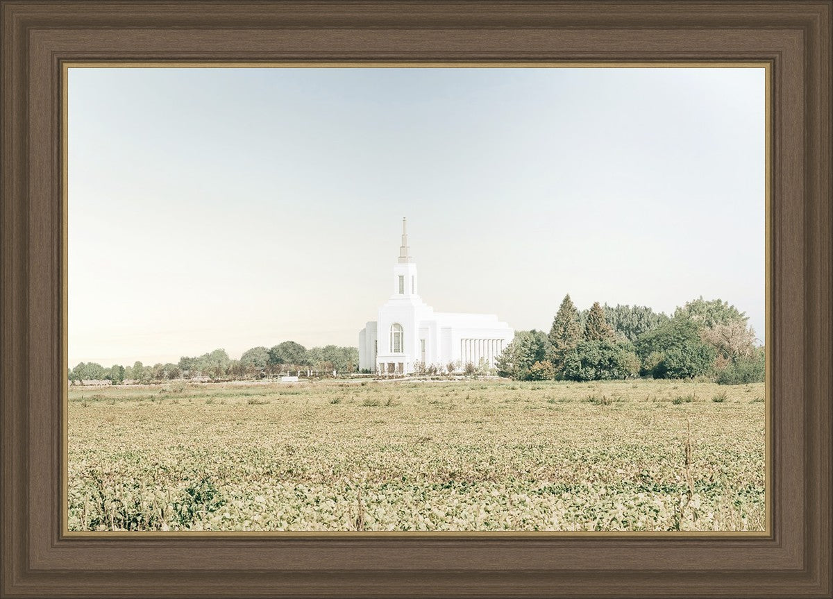 Burley Idaho Immaculate Embrace Blue