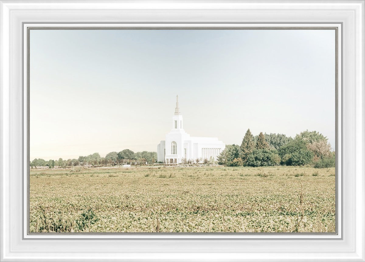 Burley Idaho Immaculate Embrace Blue