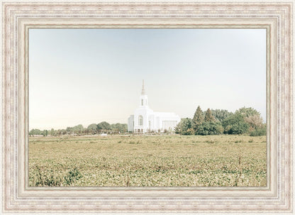 Burley Idaho Immaculate Embrace Blue