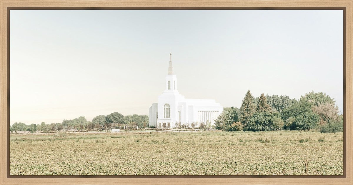 Burley Idaho Immaculate Embrace Blue